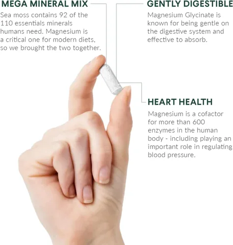 Vista 3 de Nutritional Roots - Magnesio + musgo marino irlandés - 350 mg de glicinato de magnesio y musgo marino irlandés orgánico - Minerales esenciales