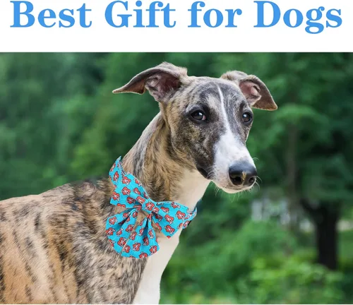 Vista 40 de Unique style paws - Collar para perros con corbatín, collar ajustable para perros y gatos, pequeño, mediano y grande