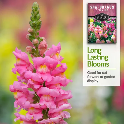 Vista 4 de Survival Garden Seeds - Semillas de mezcla de tetra Snapdragon para plantar - Paquete con instrucciones para plantar y cultivar hermosas flores