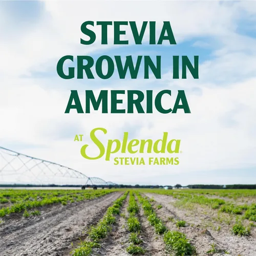 Vista 5 de SPLENDA LÍQUIDO Stevia Zero Calorie Edulcorante Gotas, 3.38 Fl Oz Botella (Stevia, 2 unidades)