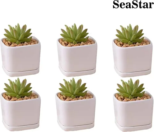 Vista 5 de Sea Star - Maceta moderna rectangular minimalista de cerámica blanca de 10 pulgadas para plantas suculentas para oficinas, escritorios, ventanas