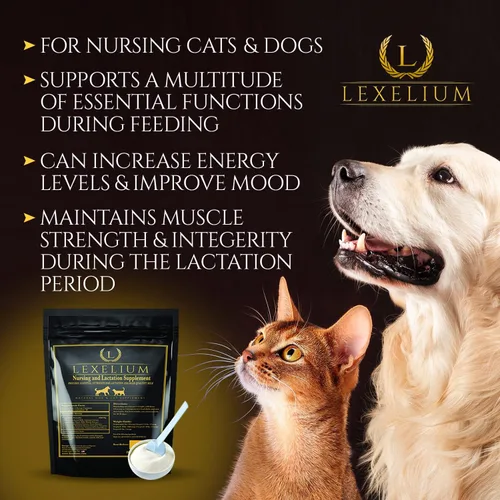 Vista 3 de Suplemento de enfermería y vitaminas para perros y gatos lactantes, suplemento de enfermería, lactancia y recuperación para criadores, desarrollo