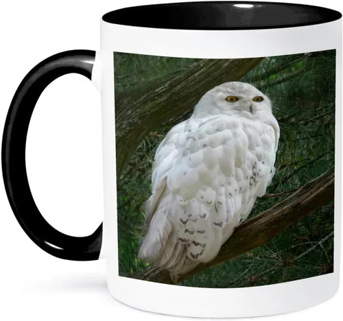 Vista 12 de 3dRose mug_154800_4 - Taza con diseño de búho blanco nieve posado en una rama contra un fondo verde, 11 onzas, color negro