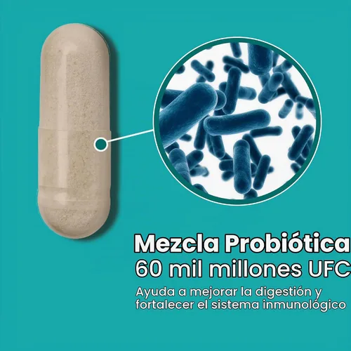 Vista 4 de Sanar Naturals Probióticos 60 mil millones de UFC 10 cepas con prebióticos para la salud digestiva intestinal e inmune Soporte GLP-1