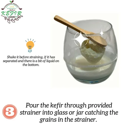 Vista 5 de Granos de kéfir de leche fresca - 1 cucharada
