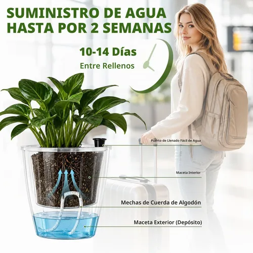 Vista 5 de Macetas transparentes de riego automático para plantas de interior, paquete de 3 macetas de riego automático de 6.7 pulgadas, macetas transparentes