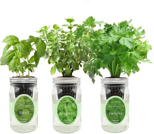 Vista 11 de Kit de cultivo de hierbas hidropónicas, tarro de masón de riego automático para jardín, kit de inicio de jardín de hierbas para interiores, jardín