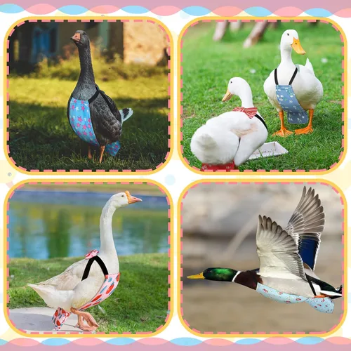 Vista 6 de DoubleFill 6 piezas de pañales para pollos para gallinas, gallos, patos reutilizables lavables con lazada para patitos, gallinas, gansos, aves