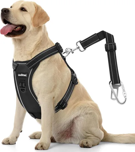Vista 29 de VavoPaw cinturón de seguridad para perro, arnés de coche con hebilla ajustable para perro, cinturón de seguridad de nailon para mascotas, resistente
