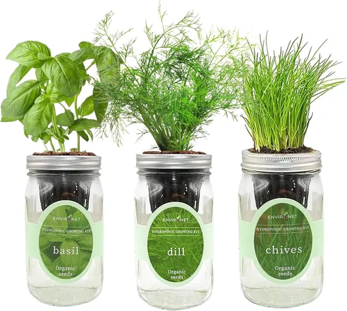 Vista 8 de Kit de cultivo de hierbas hidropónicas, tarro de masón de riego automático para jardín, kit de inicio de jardín de hierbas para interiores, jardín