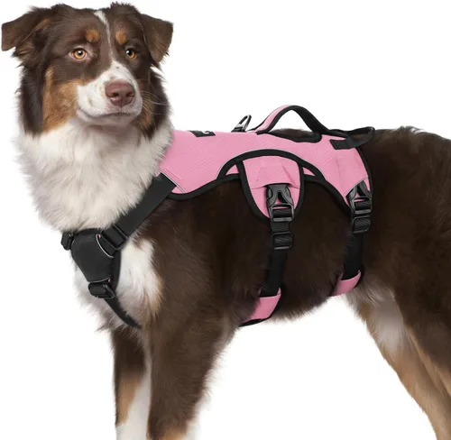 Vista 57 de rabbitgoo - Arnés para perros a prueba de fugas, arnés para mascotas acolchado y suave de cuerpo completo, arnés reflectante ajustable sin tirones