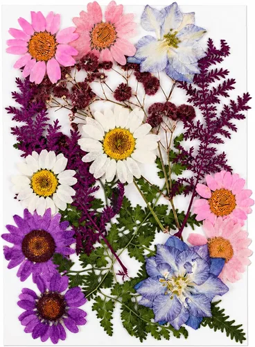 Vista 14 de 40 piezas de flores prensadas secas rosas para resina 40 unidades rosa