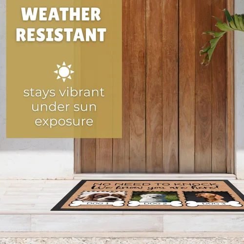 Vista 7 de Tapete personalizado para puerta de perro con foto y nombre, tapete de bienvenida personalizado, tapete para puerta delantera, no es necesario