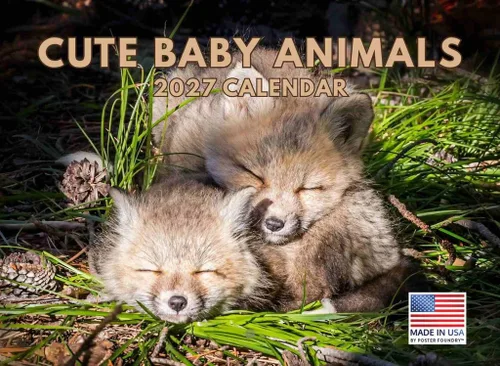 Vista 9 de Calendario mensual de pared de alpaca 2025 Fabricado en Estados Unidos