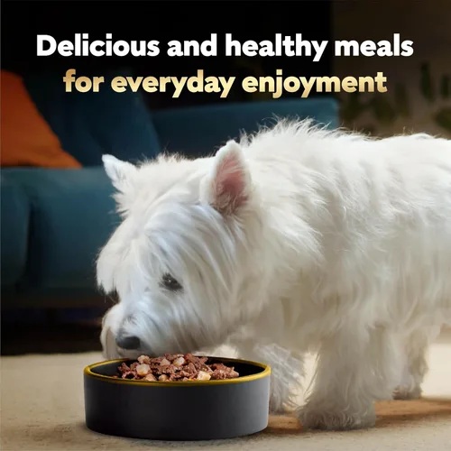 Vista 9 de Cesar Loaf and Delights - Alimento húmedo para perros, amantes de la variedad, 36 unidades, paquete de 2