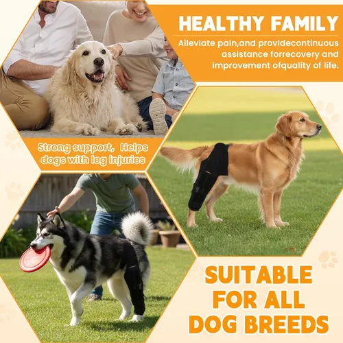 Vista 4 de Dog Knee Brace for Hind Leg – Adjustable Rear Leg Support with 2 PP Resin Bars, Helps Torn ACL, Ligament Injuries, Luxating Patella & Hip Dysplasia