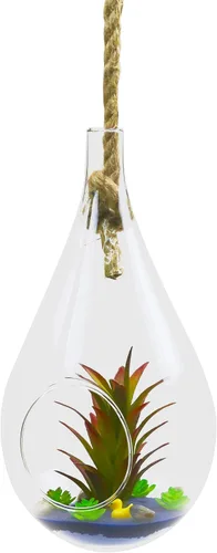 Vista 4 de WGV - Maceta colgante terrario, 5 pulgadas de ancho, 9.5 pulgadas de alto, cristal transparente para suculentas, contenedor floral de lágrima