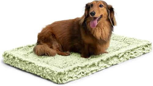 Vista 20 de PELZIN Stoutwool - Cama indestructible para perros, almohadilla mullida a prueba de masticados, almohadilla resistente para masticadores agresivos