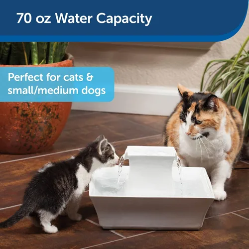 Vista 3 de PetSafe Fuente de agua para gatos y perros, filtros de carbono de repuesto de 70 onzas y Drinkwell, cerámica para perros y gatos y filtros de fuente