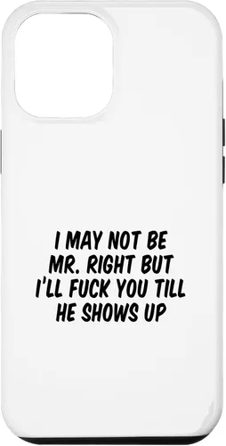 Vista 26 de I May Not Be Mr. Right But I’ll Fuck You Till He Shows Up Case for iPhone 17