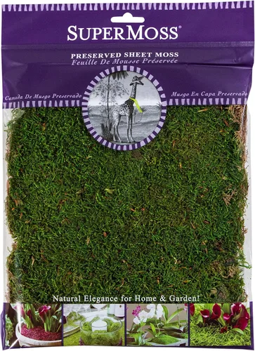 Vista 10 de Super Moss (21508) Panel de musgo conservado, fresco, color verde. De 20 a 24 pies cuadrados y 3,5 libras.