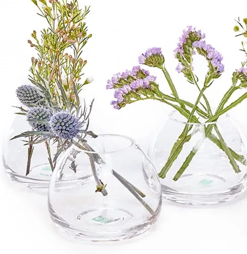 Vista 2 de CHIVE "George" - Jarrones de Botella de Cristal para Flores, juego de 6, pequeños y elegantes jarrones de cristal transparente para capullos