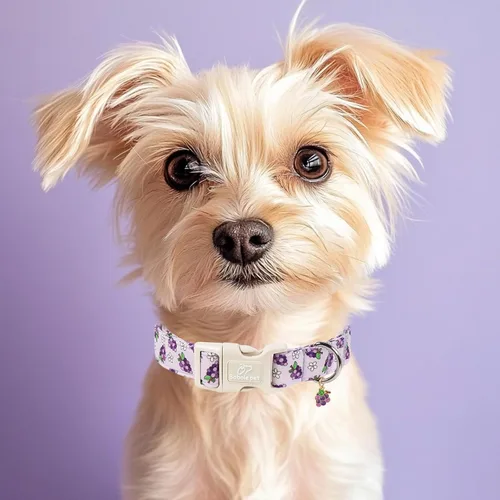Vista 349 de Collar para perros del 4 de julio, collares patrióticos azules para cachorros y perros pequeños, ligero y ajustable 1776 collares para cachorros