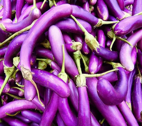 Vista 16 de Semillas de huerto para plantar - Cultiva verduras tradicionales (pimienta de 5 colores)