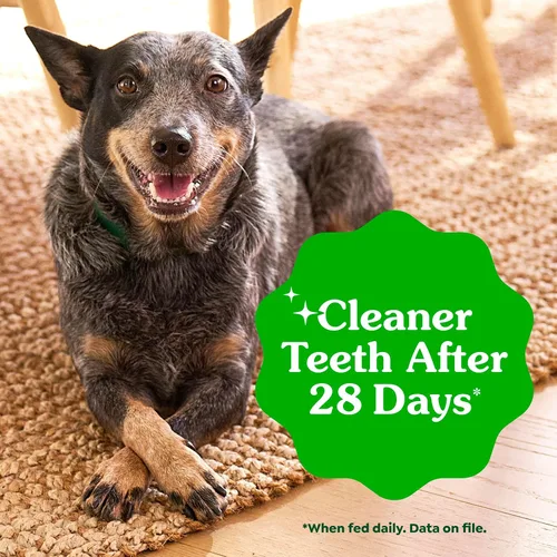 Vista 5 de Obsequios dentales para perros Greenies , Grande