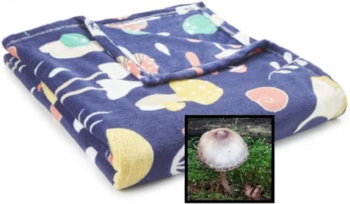 Vista 2 de Fun Print - Manta suave y acogedora de forro polar de 50 x 60 pulgadas con bonito imán (corgis loca)