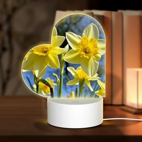 Vista 18 de 3D Night Light LED Light Lamp Base Personalized Gifts Acrylic Night Light Color Fusion Night Light Acrylic Plaque USB 3 Colors Change Smart Touch