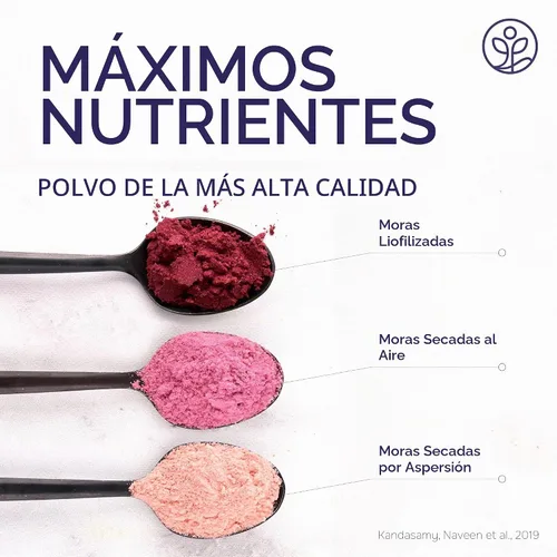 Vista 5 de Jungle Powders Polvo de mora de 3.5 onzas, bolsa de moras liofilizadas sin aditivos de frutas, batido sin azúcar, superalimento, extracto de mora
