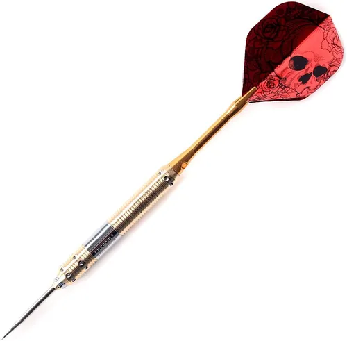 Vista 3 de CUESOUL Dragon Profesional - Dardos de punta de acero 25g/23g/21g/20g