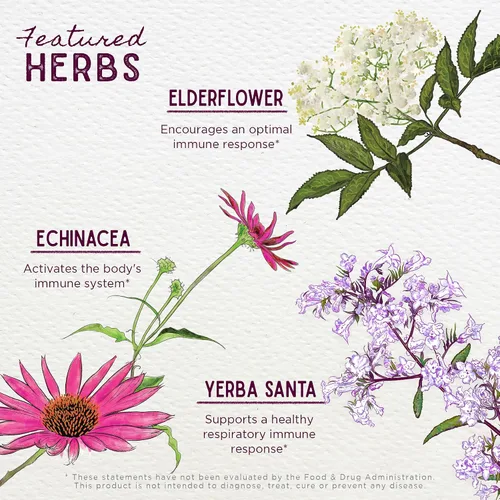 Vista 4 de WishGarden Herbs Kick-Ass Activador Inmune – Suplemento de apoyo a la inmunidad a base de hierbas para adultos, refuerzo inmunológico a base