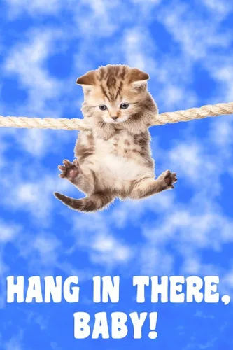 Vista 2 de Gatito colgante de cuerda retro motivacional trabajo en equipo cita inspiradora inspiradora cita inspiradora apoyo motivación motivación motivación