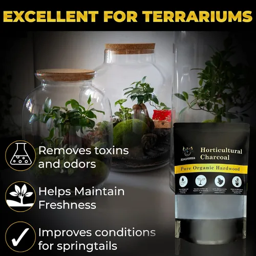 Vista 3 de Carbón hortícola orgánico y carbón de terrario Carbón para plantas Carbón de madera dura puro para plantar y jardinería Biochar de arce