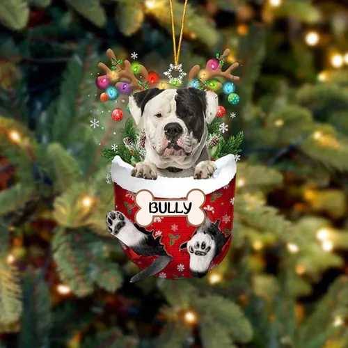Vista 187 de IZI POD Affenpinscher Adorno de Navidad personalizado para perro, adorno de bolsillo de nieve para perro para árbol de Navidad, adorno acrílico