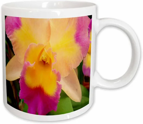 Vista 12 de 3dRose Florene Flores – Gorgeous Orquídea – Tazas, Negro/Blanco