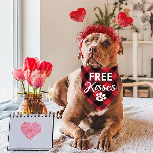 Vista 2 de STMK Bandana para perro para el día de San Valentín, diadema de corazón para el día de San Valentín, bandanas disfraces para perros pequeños