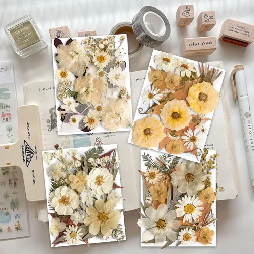 Vista 2 de 96 piezas de flores blancas secas y prensadas vintage para manualidades con resina - Juego de flores naturales reales de YouthBro con 50 calcomanías