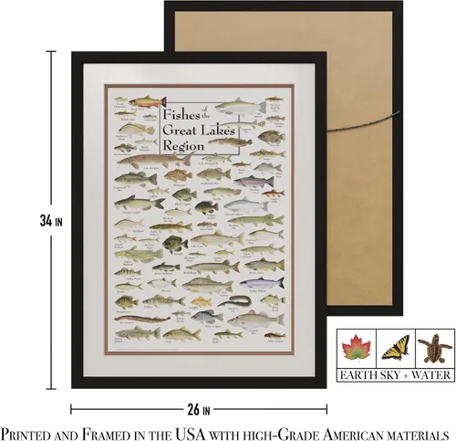 Vista 3 de Earth Sky + Water - Peces de la región de los Grandes Lagos - Pósters de doble estera con marco negro