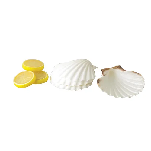 Vista 3 de Maine Man Conchas naturales para hornear, cosechadas de Irlanda y Escocia, para hornear, mariscos, aperitivos y postres, 4 pulgadas, juego de 4