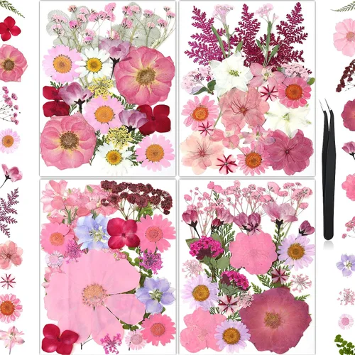 Vista 17 de 100 piezas de flores prensadas secas de hortensias para manualidades de Hortensia 100pcs