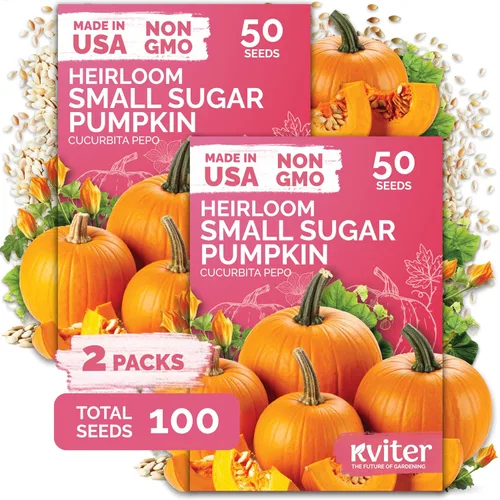 Vista 14 de KVITER Mezcla de 100 semillas de calabaza pequeñas (Cucurbita Pepo), paquete de 2 – Calabazas ornamentales de otoño, sin OGM – Semillas de reliquia