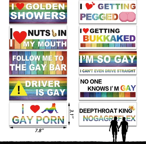 Vista 3 de Frienda 10 piezas de calcomanías para parachoques divertidas con pegatinas LGBT arcoíris, pegatinas para parachoques de broma para autos, accesorios