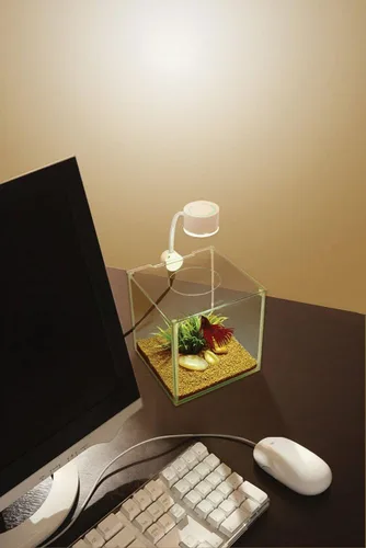 Vista 4 de Marina CUBUS Glass Betta Kit – Elegante acuario de cristal para hogares u oficinas