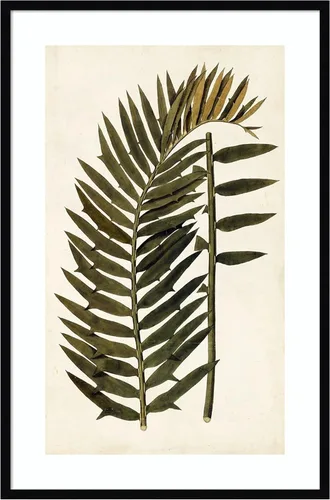 Vista 15 de Amanti Art Vision Studio - Lienzo decorativo para pared, 24 x 17 pulgadas, variedades de hojas VIII, arte de pared de naturaleza, decoración
