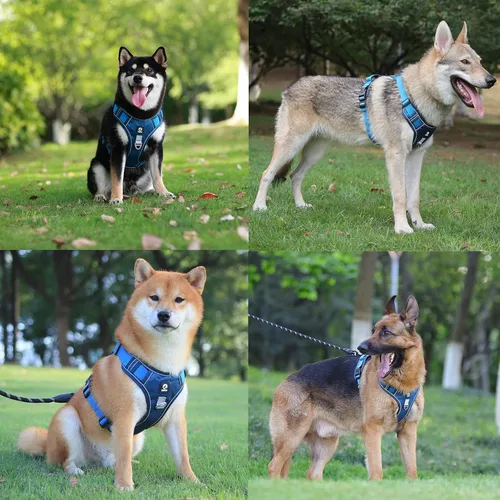 Vista 7 de Arnés para perros medianos y grandes, chaleco de servicio antitirones con asa, collar para perros pequeños y grandes, con cuello y pecho ajustables