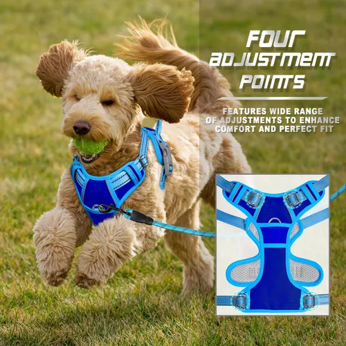 Vista 183 de BARKBAY - Arnés para perro sin tirones con clip frontal, material resistente y reflectante, asa de fácil control para pasear perros grandes
