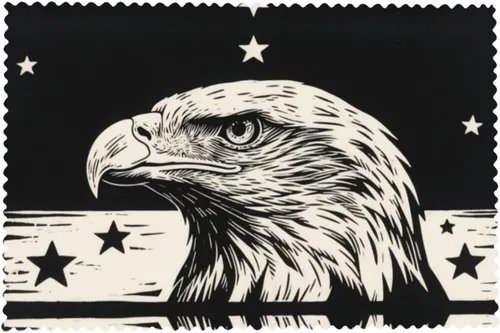 Vista 8 de Rectangular Placemats Set of 4, Heat Resistant Black Eagle Printed Kitchen Dining Table Mats